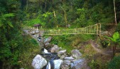 Lepcha cane bridge ‘Ru-Soam’ commissioned at Dzongu
