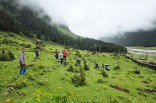 Sikkim caps two-week Paryavaran Parva with high-altitude plantation drive at Yumthang
