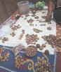 Chinese merchants join Indian traders in Eastern Nepal’s Rudraksha boom 