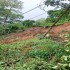 Landslide displaces three families 