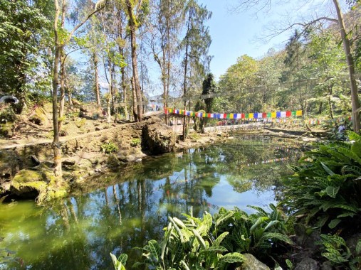 Dzongu’s Tunkyong Dho notified as Sikkim’s first Biodiversity Heritage Site