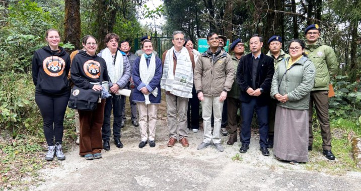 French Consul General’s office to support red panda conservation effort in Sikkim