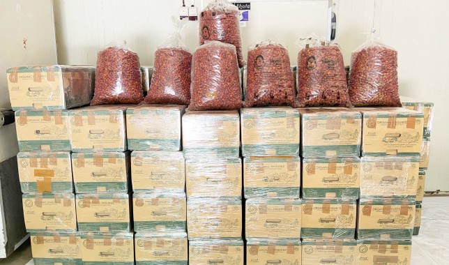 Second consignment of Sikkim’s famed Dalley Khorsani to be exported
