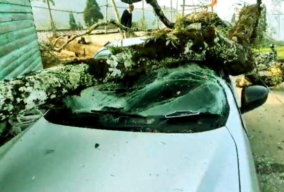 Storm affects normal life in Hills