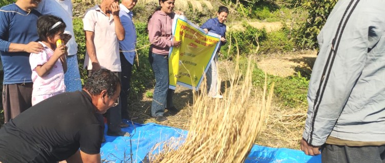 ICAR Sikkim Centre organizes field day to promote ‘Sikkim Dhan-1’ paddy variety