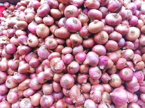 Centre to sell onion at Rs 35 per kg to cool down prices