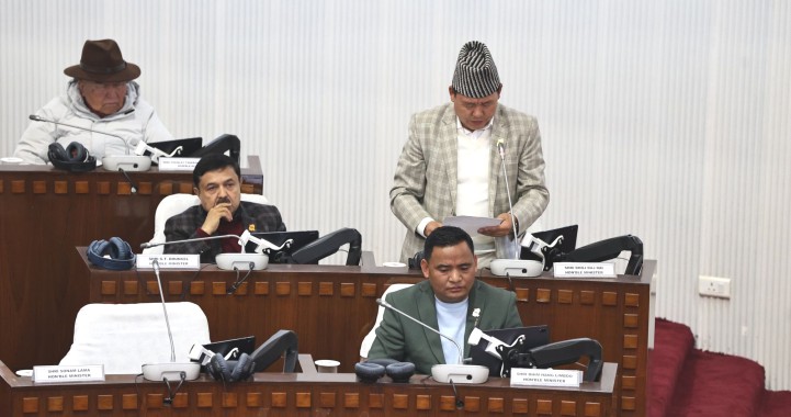 Amendment proposes political party-based municipal elections 