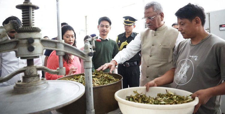 Governor visits Temi Tea Estate, lauds global recognition and tourism potential