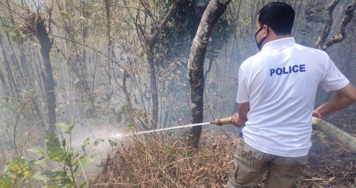 Effort on to contain forest fires in South Sikkim