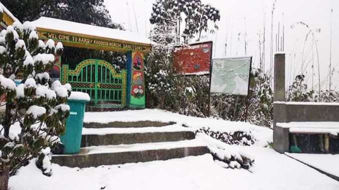 Snowfall in higher reaches of West Sikkim