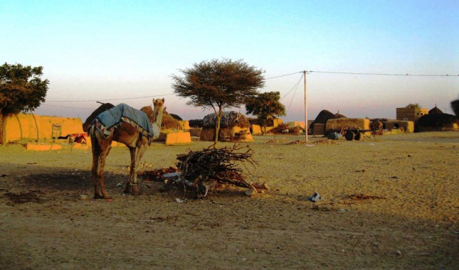 Camp at Thar Desert