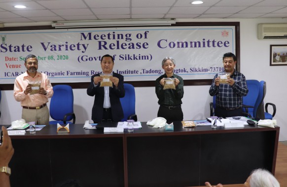 Nine new crop varieties released for Sikkim