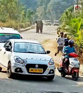 Elephant strays into residential areas, sparks panic