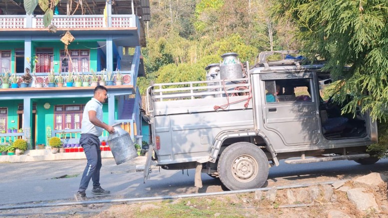 Milk rejection pushes Sadam dairy farmers to brink, some consider selling cattle