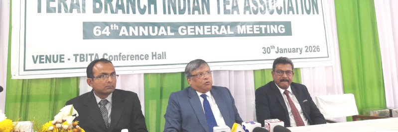 Climate change, Nepal tea imports hit Darjeeling tea industry